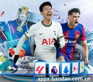 半岛体育网页版 APP 界面(Bandao)