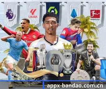 半岛体育网页版 APP(Bandao)